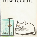 pisica New Yorker